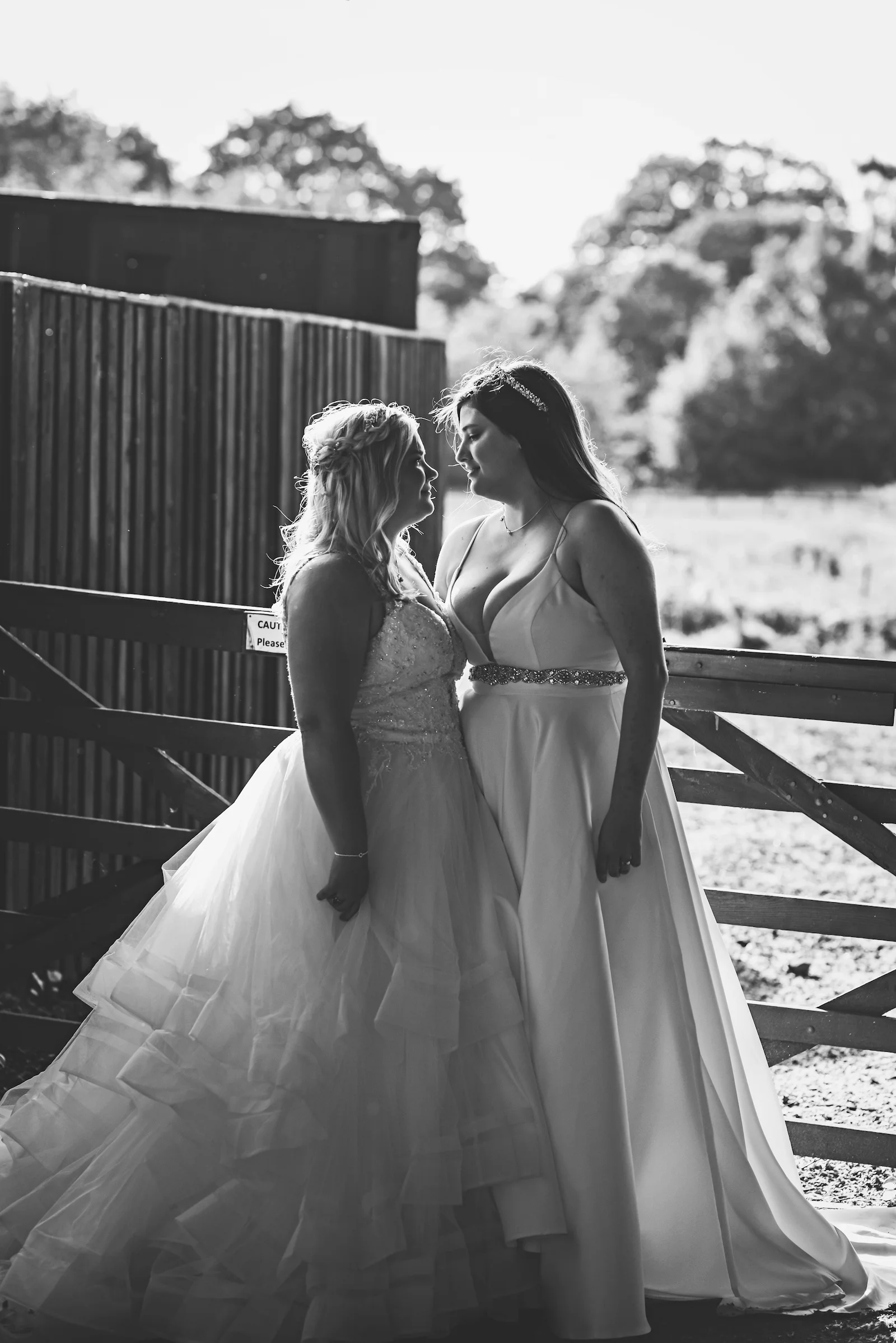 Wedding Photographer